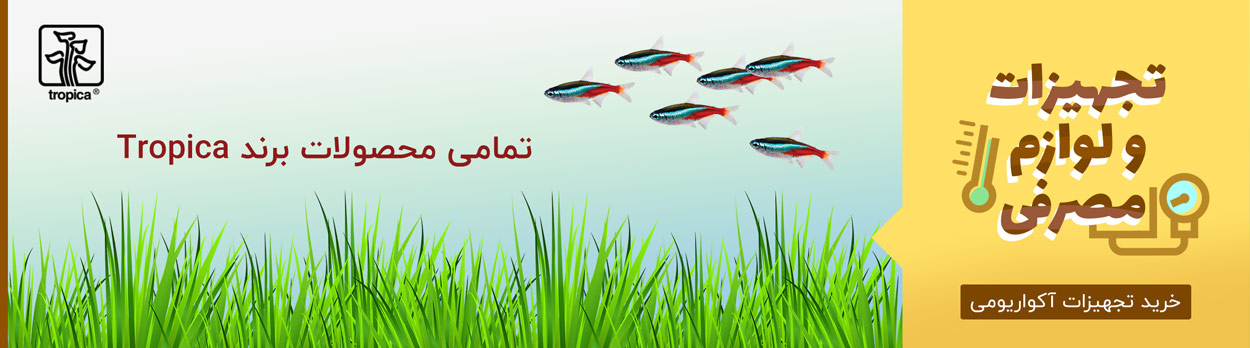 تمامی محصولات برند تروپیکا