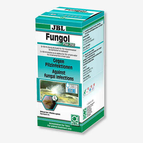 داروی درمان بیماری های قارچی فانگل پلاس