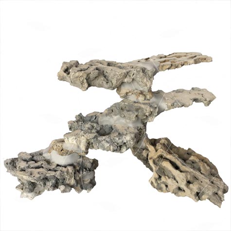 صخره مرجانی با طراحی دلخواه