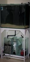 Saltwater Aquarium