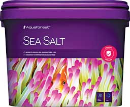 Sea Salt