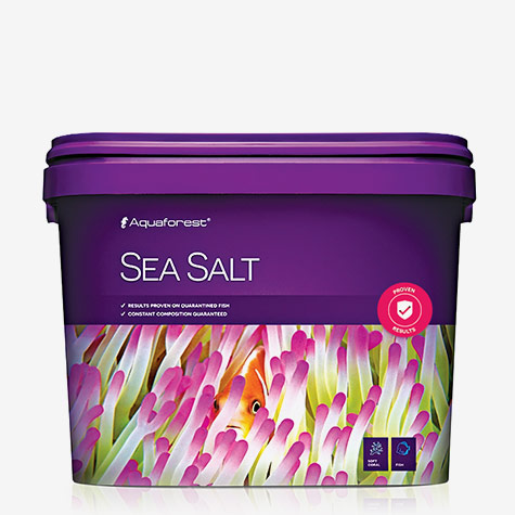 sea salt