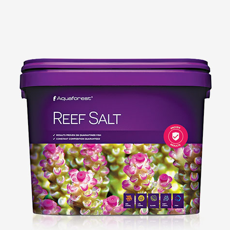 reef salt